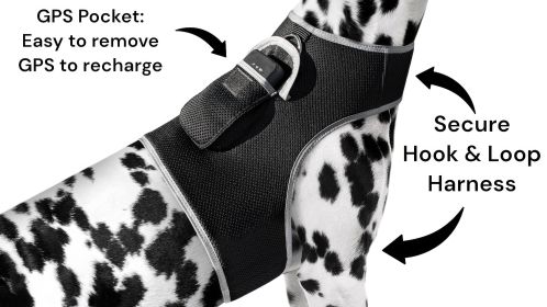 Inexpensive Less Maintenance GPS Tracker Dog Collar Rechargeable Tracking Gadget Size:XL