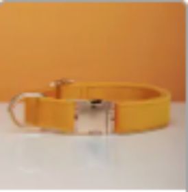 Multiple Colour Velvet Personalise Dog Collar Leash Set With Bow (Option: Yellow-XS)
